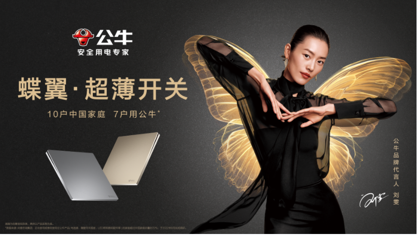 ������֡�(�й���)���޹�˾����